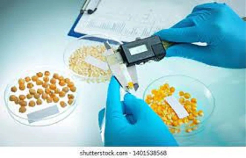 Advanced Minecraft Seed Analysis and Mapping Techniques Reveal World Secrets